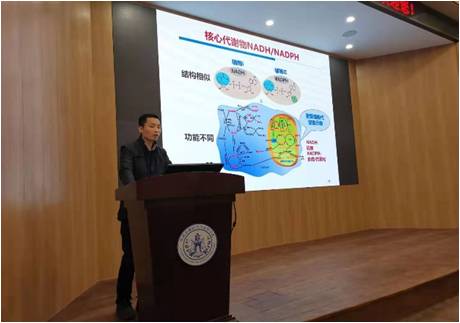 华东理工大学赵玉政教授来我院做学术报告