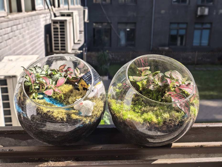 84f43a41b4b7c0f60e0d5fd3fe43ef06